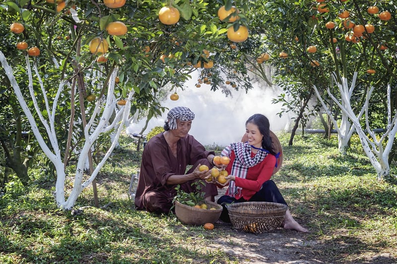 Fruit Harvesting